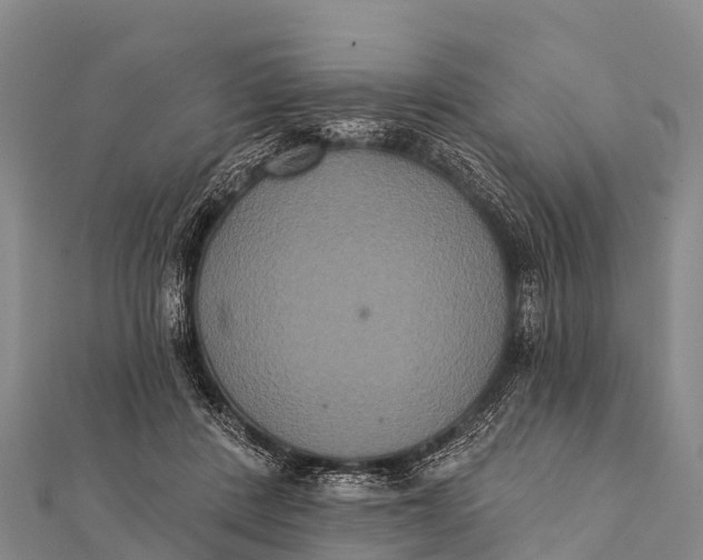 X0000112000408200908241437