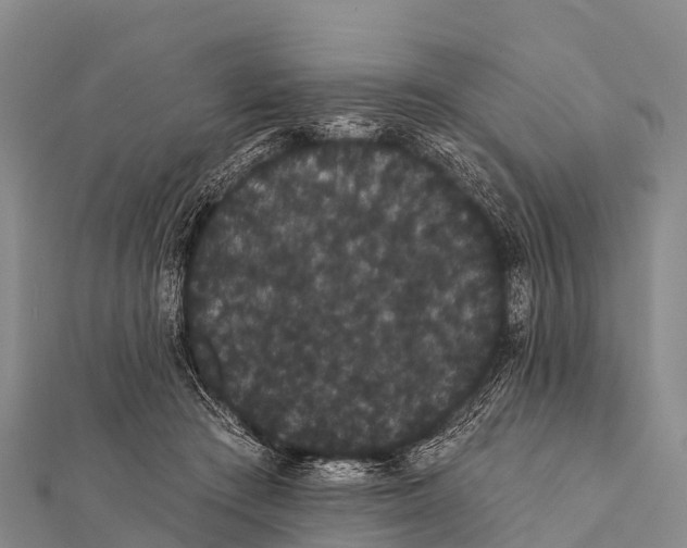 X0000112000409200908241437