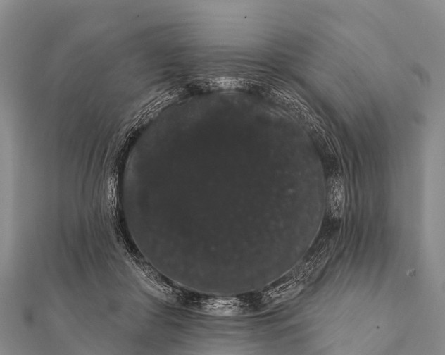 X0000112000410200908241437