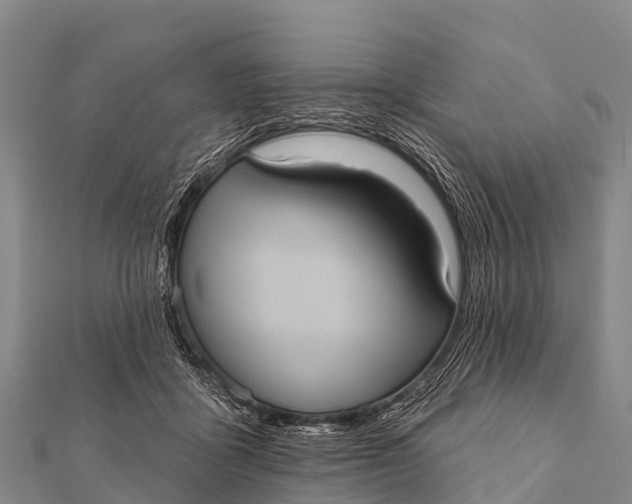 X0000112000411200908241437