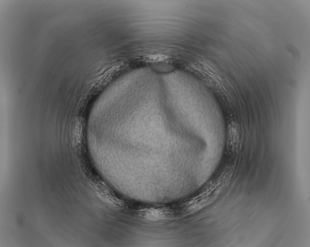 X0000112000412200908241437