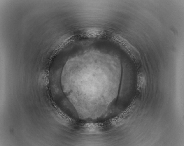 X0000112000413200908241437