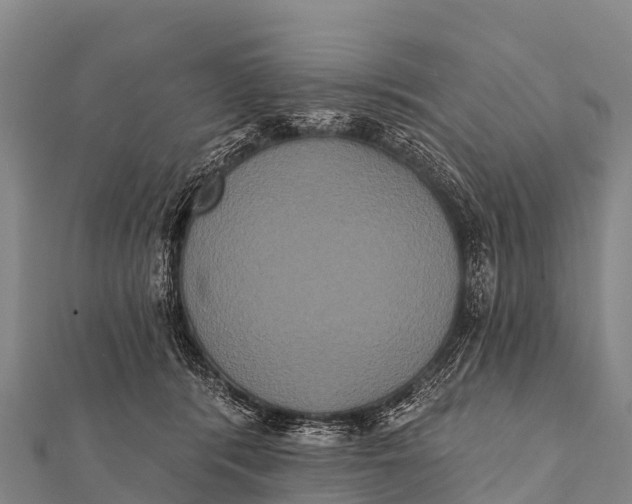 X0000112000416200908241437