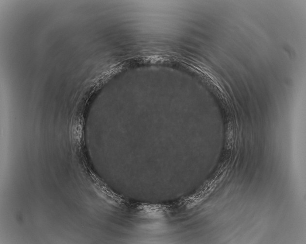 X0000112000417200908241437