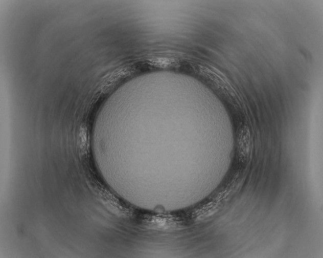 X0000112000420200908241437