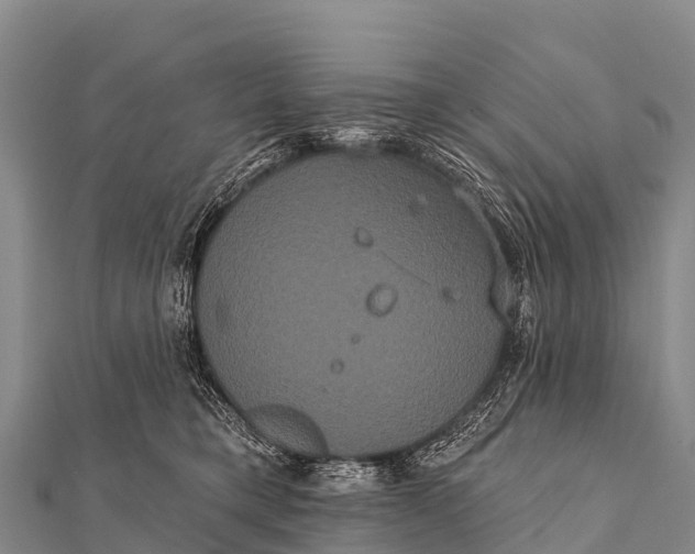 X0000112000421200908241437