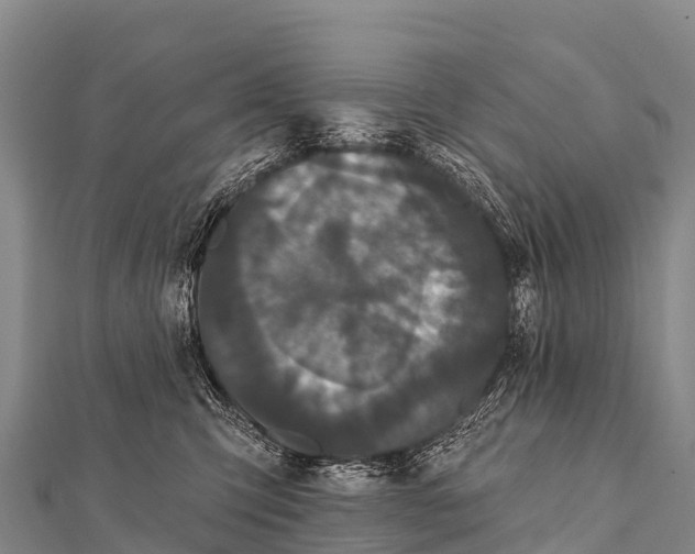 X0000112000423200908241437