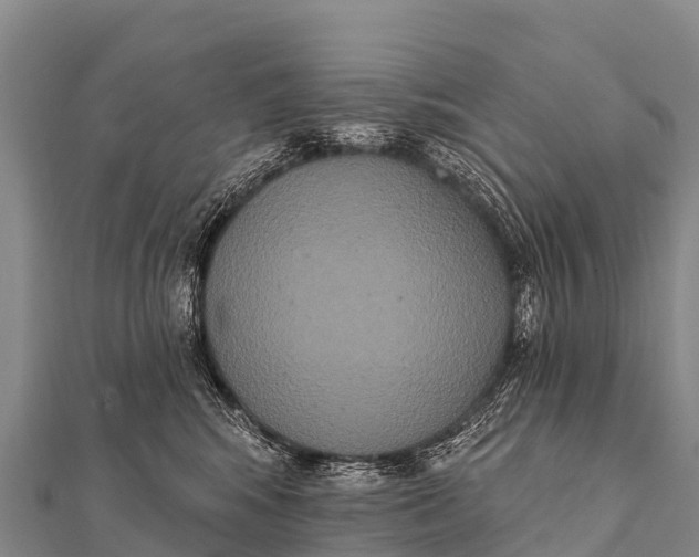 X0000112000424200908241437