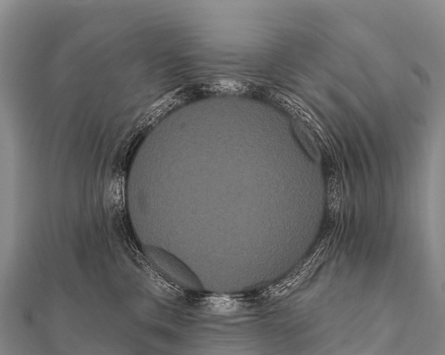 X0000112000425200908241437