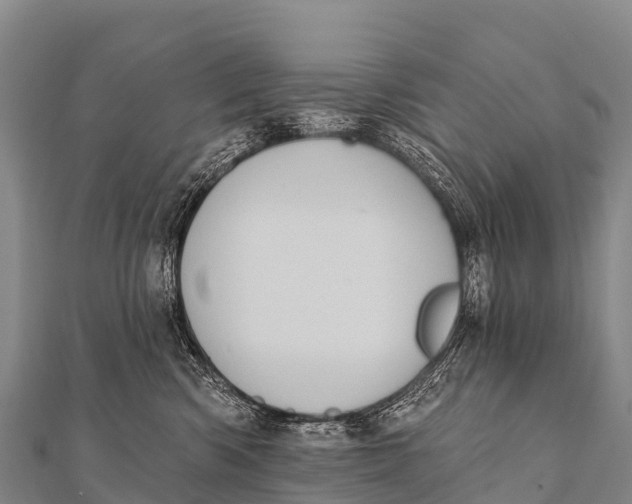 X0000112000426200908241437