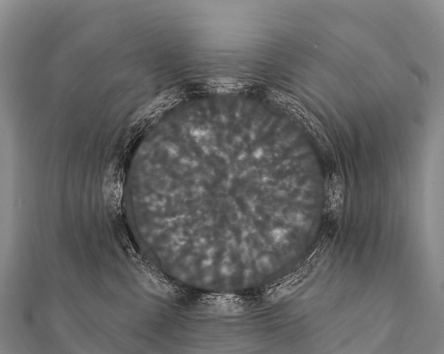 X0000112000427200908241437