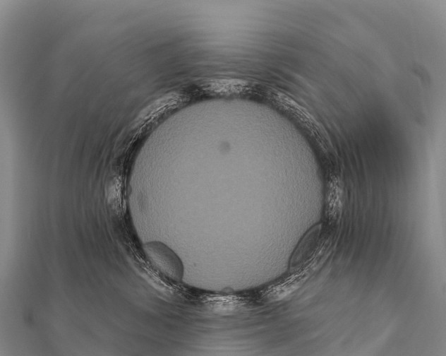 X0000112000428200908241437