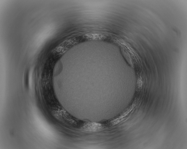 X0000112000429200908241437