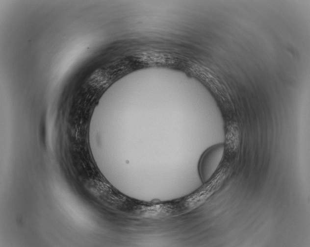 X0000112000430200908241437