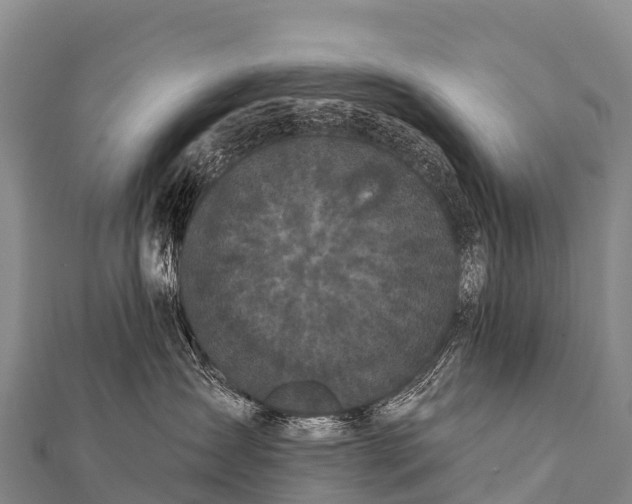 X0000112000431200908241437