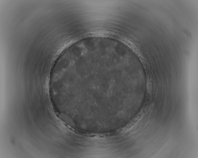 X0000112000434200908241436