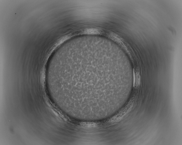 X0000112000435200908241436