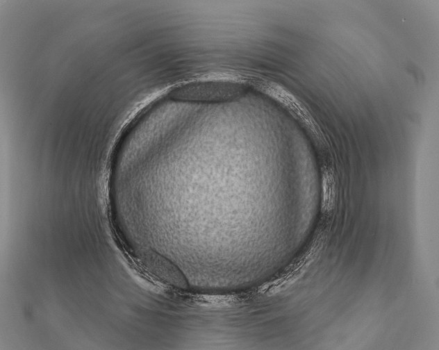 X0000112000436200908241436