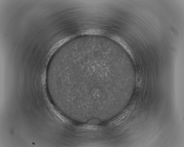 X0000112000437200908241436