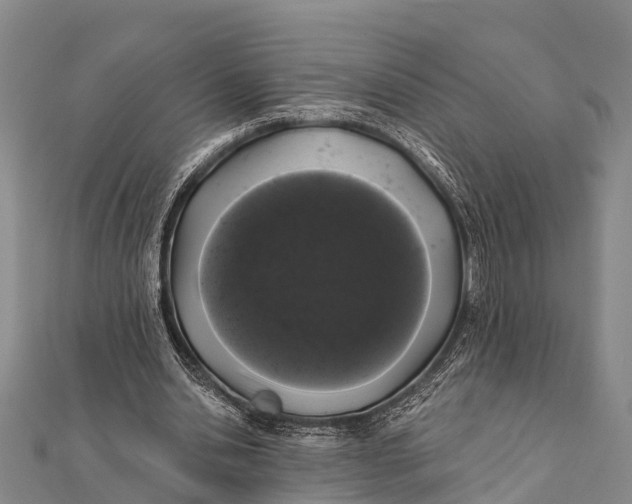 X0000112000438200908241436