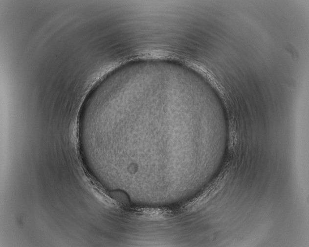 X0000112000439200908241436