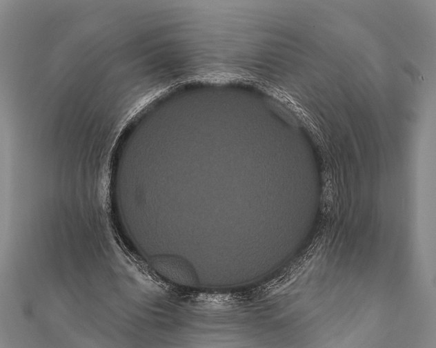 X0000112000440200908241436