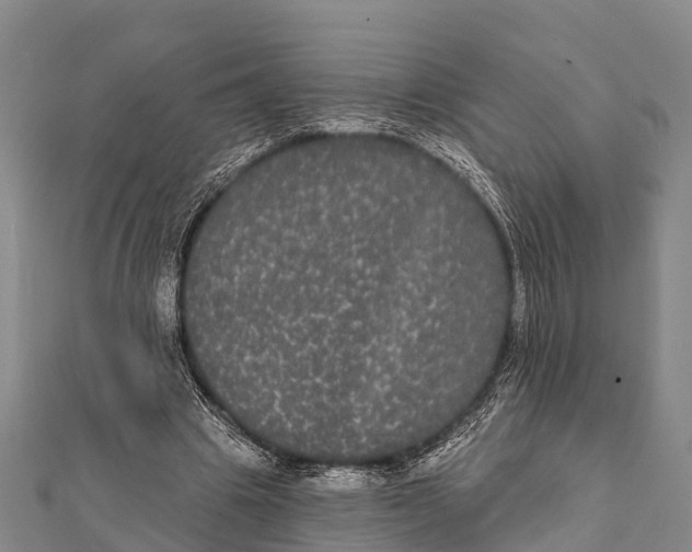 X0000112000441200908241436