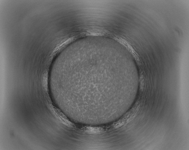 X0000112000442200908241436