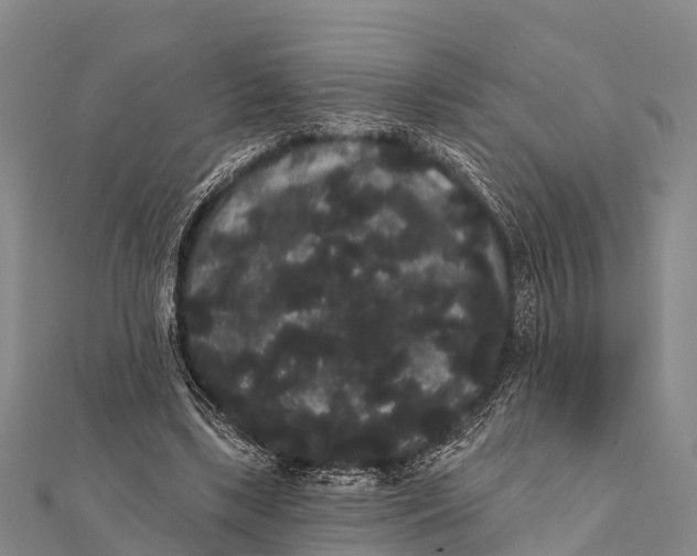 X0000112000443200908241436