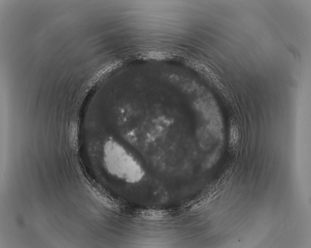 X0000112000444200908241436