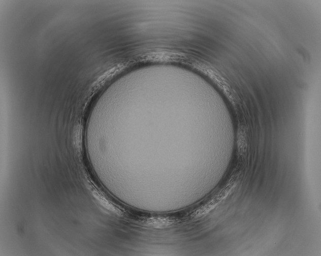 X0000112000445200908241436