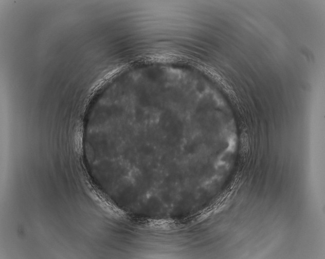 X0000112000446200908241436