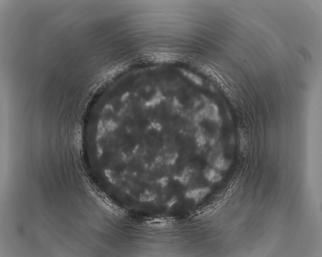 X0000112000447200908241436