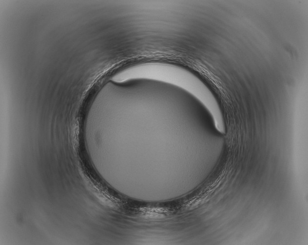 X0000112000448200908241436