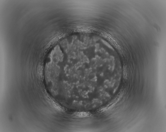 X0000112000449200908241436