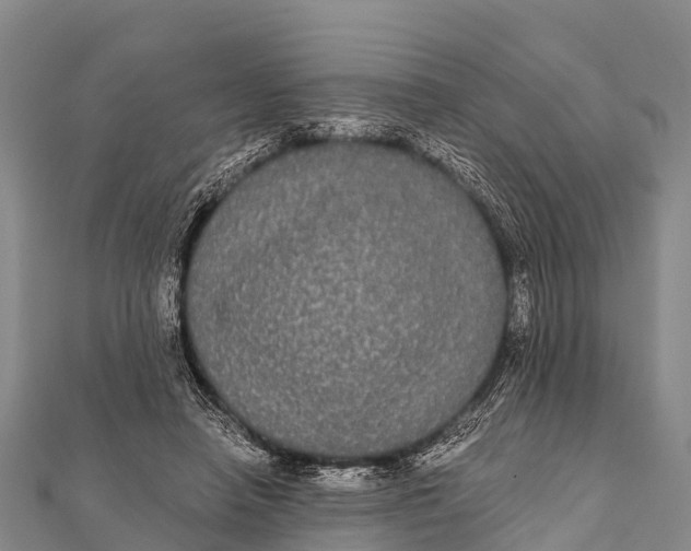 X0000112000450200908241436