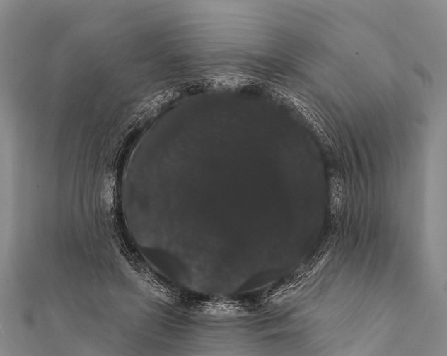 X0000112000451200908241436