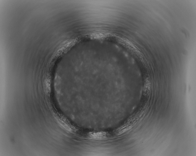 X0000112000452200908241436