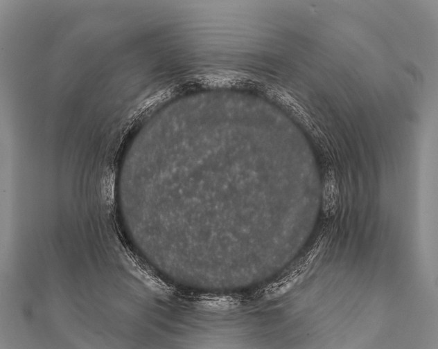 X0000112000454200908241436