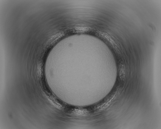 X0000112000455200908241436