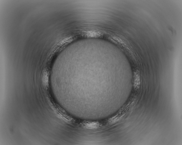 X0000112000456200908241437