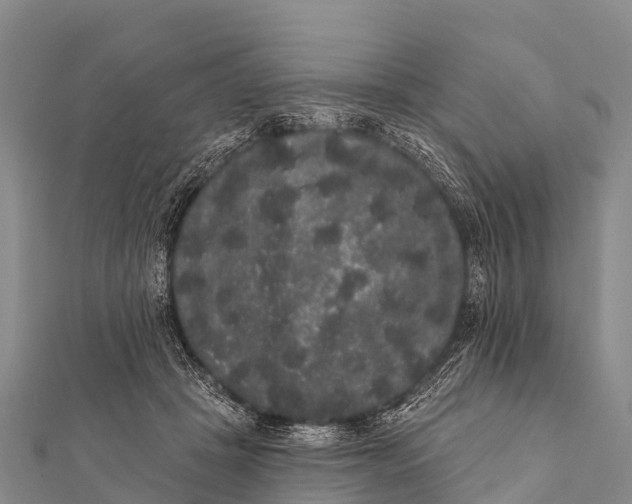 X0000112000457200908241437