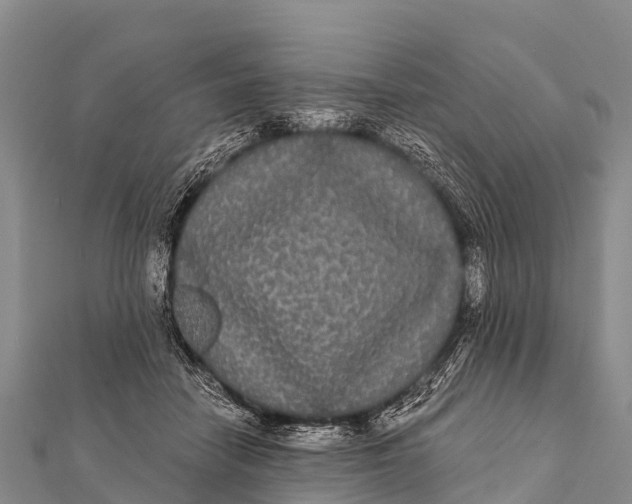 X0000112000458200908241437