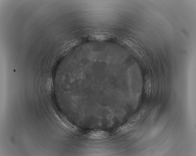 X0000112000459200908241437