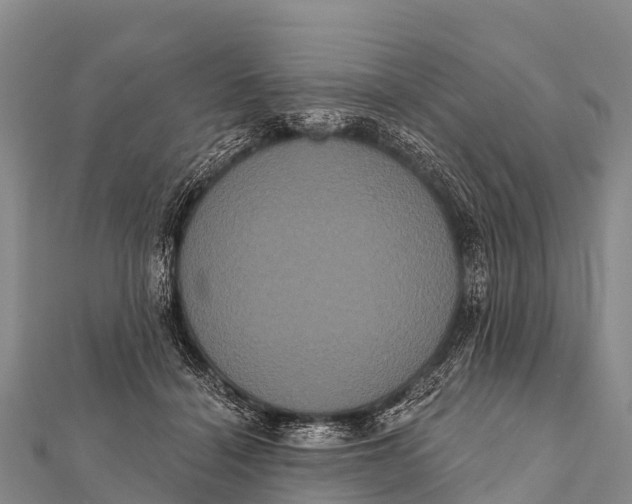 X0000112000460200908241437