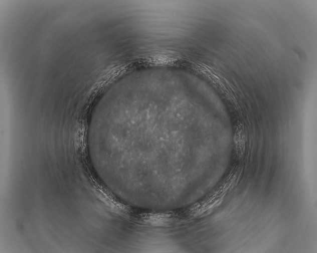 X0000112000462200908241437