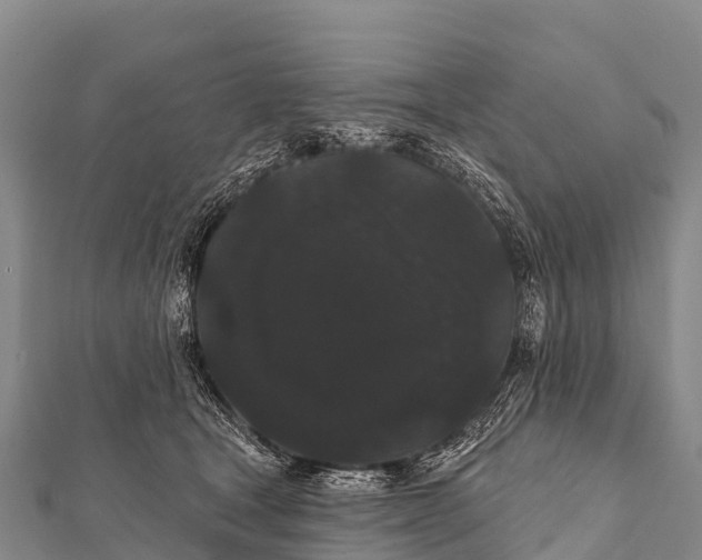 X0000112000465200908241437