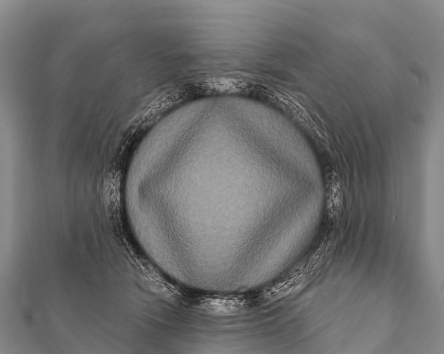 X0000112000466200908241437