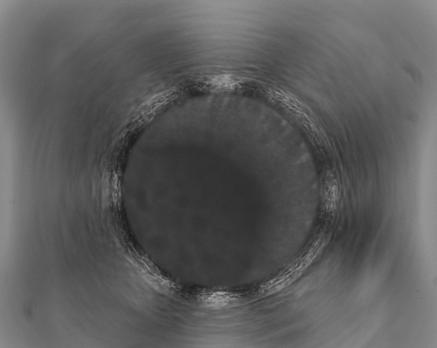 X0000112000467200908241437