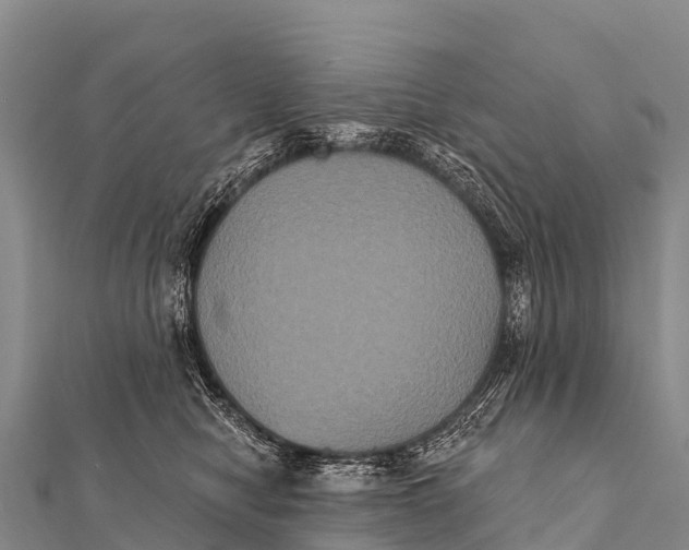 X0000112000470200908241437